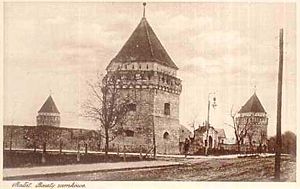 Стара листівка замку (1920 р)